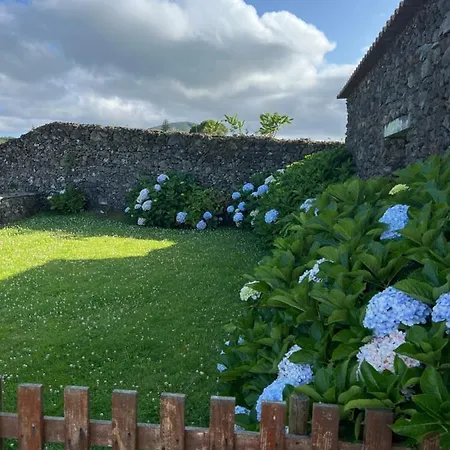 Arrenquinha 1 São Vicente Ferreira