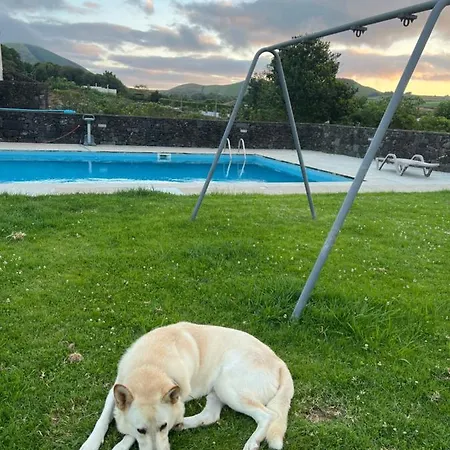 Arrenquinha 1
