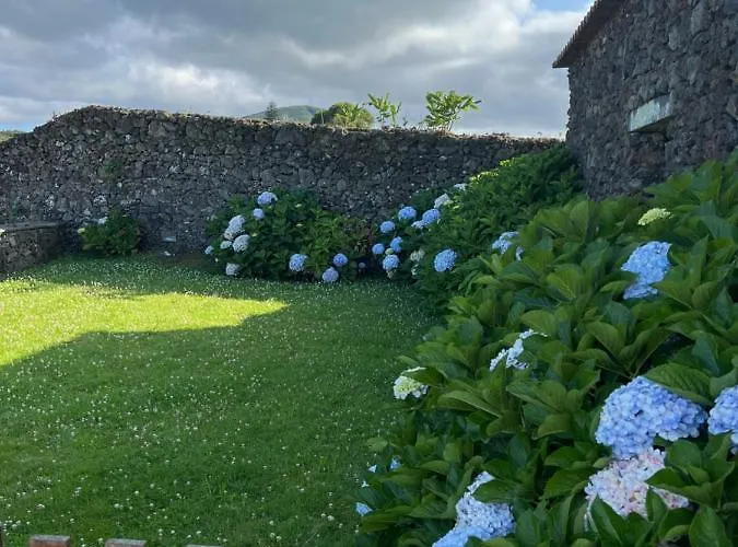 Arrenquinha 1 Açores